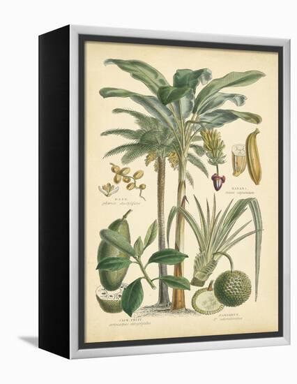 Fruitful Palm II-Vision Studio-Framed Stretched Canvas