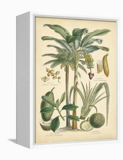 Fruitful Palm II-Vision Studio-Framed Stretched Canvas