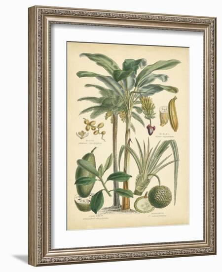 Fruitful Palm II-Vision Studio-Framed Art Print