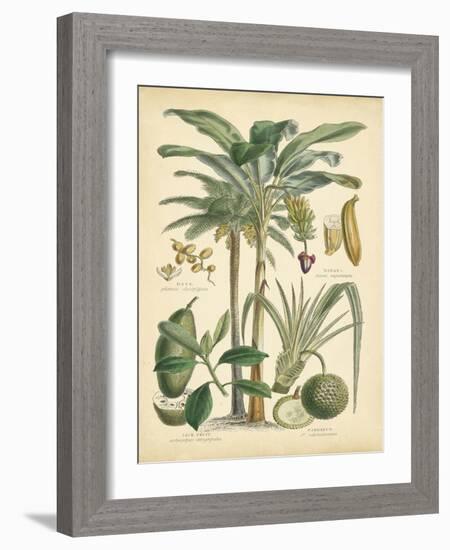 Fruitful Palm II-Vision Studio-Framed Art Print