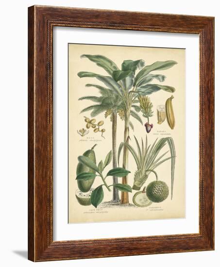 Fruitful Palm II-Vision Studio-Framed Art Print