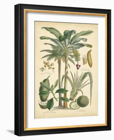 Fruitful Palm II-Vision Studio-Framed Art Print