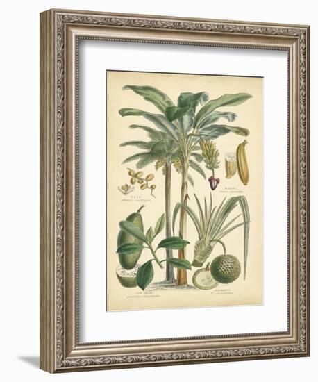 Fruitful Palm II-Vision Studio-Framed Art Print