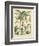 Fruitful Palm II-Vision Studio-Framed Art Print