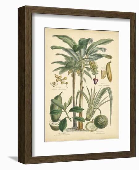 Fruitful Palm II-Vision Studio-Framed Art Print