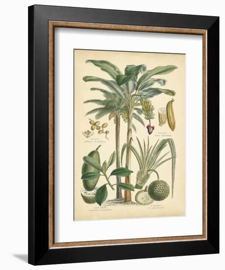 Fruitful Palm II-Vision Studio-Framed Art Print