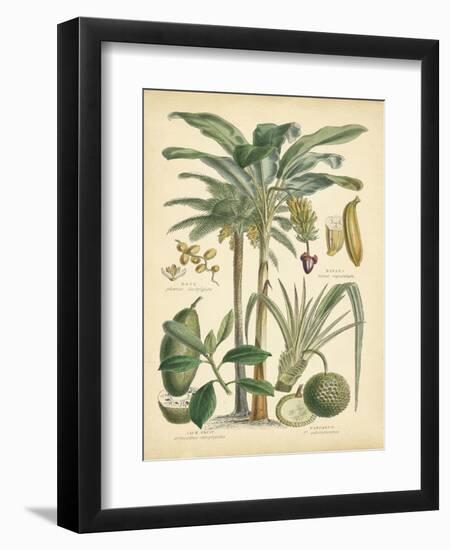 Fruitful Palm II-Vision Studio-Framed Art Print