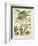 Fruitful Palm II-Vision Studio-Framed Art Print