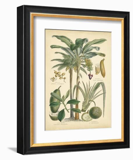 Fruitful Palm II-Vision Studio-Framed Art Print