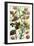 Fruits and Foliage I-Vision Studio-Framed Art Print