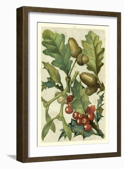 Fruits and Foliage II-Vision Studio-Framed Art Print