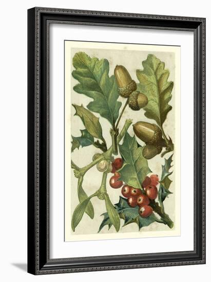 Fruits and Foliage II-Vision Studio-Framed Art Print