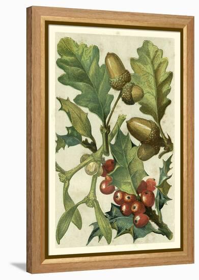 Fruits and Foliage II-Vision Studio-Framed Stretched Canvas