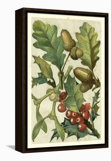 Fruits and Foliage II-Vision Studio-Framed Stretched Canvas