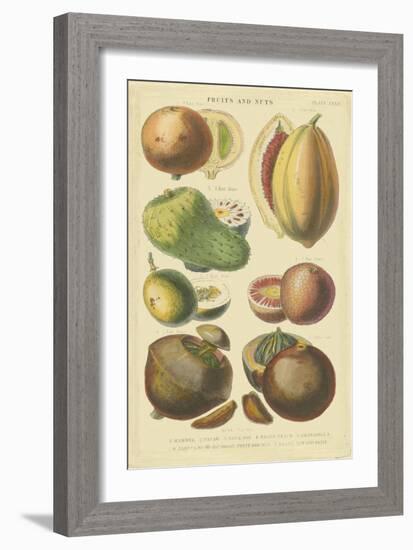 Fruits and Nuts I-Vision Studio-Framed Art Print