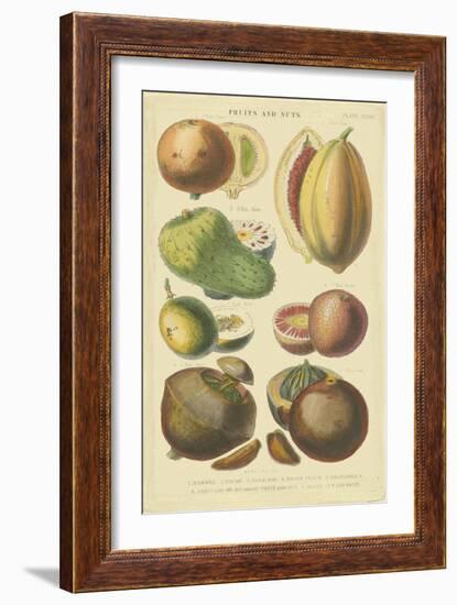 Fruits and Nuts I-Vision Studio-Framed Art Print