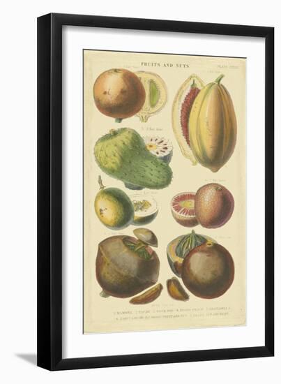 Fruits and Nuts I-Vision Studio-Framed Art Print