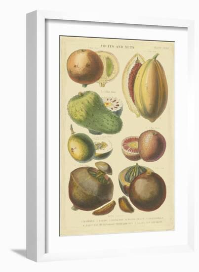 Fruits and Nuts I-Vision Studio-Framed Art Print