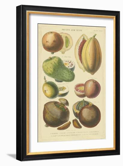 Fruits and Nuts I-Vision Studio-Framed Art Print