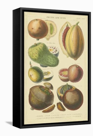 Fruits and Nuts I-Vision Studio-Framed Stretched Canvas