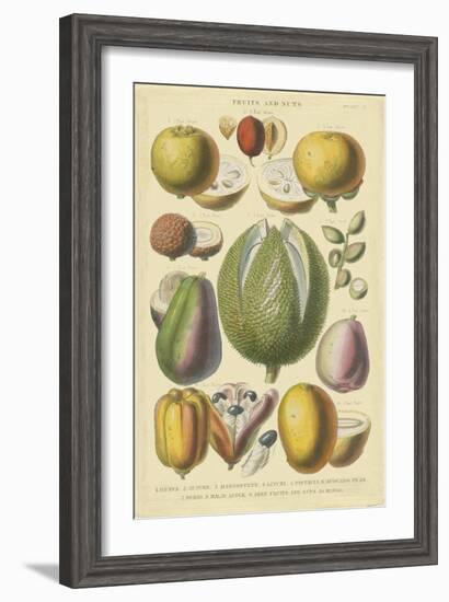 Fruits and Nuts II-Vision Studio-Framed Art Print