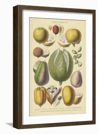 Fruits and Nuts II-Vision Studio-Framed Art Print