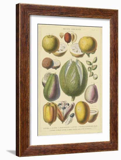 Fruits and Nuts II-Vision Studio-Framed Art Print