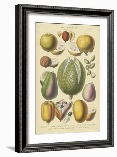 Fruits and Nuts II-Vision Studio-Framed Art Print