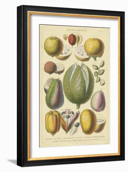 Fruits and Nuts II-Vision Studio-Framed Art Print