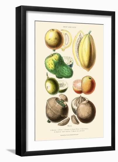 Fruits and Nuts. Mammee, Pawpaw, Soursop, Negro Peach, Granadilla, Brazil Nut, Zabucajo-William Rhind-Framed Art Print