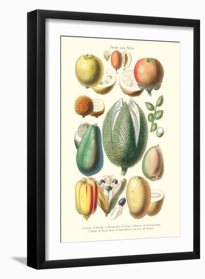 Fruits and Nuts-William Rhind-Framed Art Print