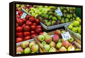 Fruits and Vegetables for Sale at Local Market in Poland.-Curioso Travel Photography-Framed Premier Image Canvas