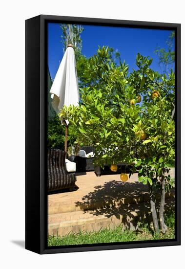 Fruits and Vegetables - Marrakesh - Morocco - North Africa - Africa-Philippe Hugonnard-Framed Premier Image Canvas