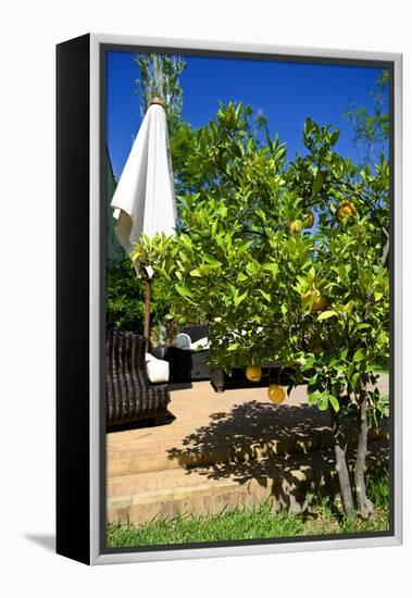 Fruits and Vegetables - Marrakesh - Morocco - North Africa - Africa-Philippe Hugonnard-Framed Premier Image Canvas