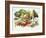 Fruits And Vegetables-David Munns-Framed Photographic Print