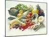 Fruits And Vegetables-David Munns-Mounted Photographic Print