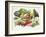 Fruits And Vegetables-David Munns-Framed Photographic Print