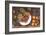 Fruits Autumn Varieties-Currier & Ives-Framed Art Print