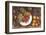 Fruits Autumn Varieties-Currier & Ives-Framed Art Print