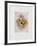 Fruits De Provence-Annapia Antonini-Framed Limited Edition