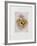 Fruits De Provence-Annapia Antonini-Framed Limited Edition