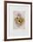 Fruits De Provence-Annapia Antonini-Framed Limited Edition