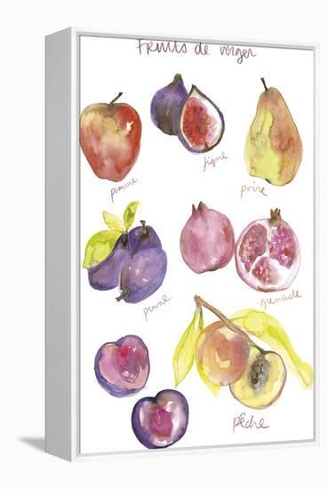 Fruits de Verger-Katrien Soeffers-Framed Stretched Canvas
