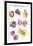 Fruits de Verger-Katrien Soeffers-Framed Giclee Print