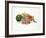 Fruits Fiesta-Joh Naito-Framed Giclee Print