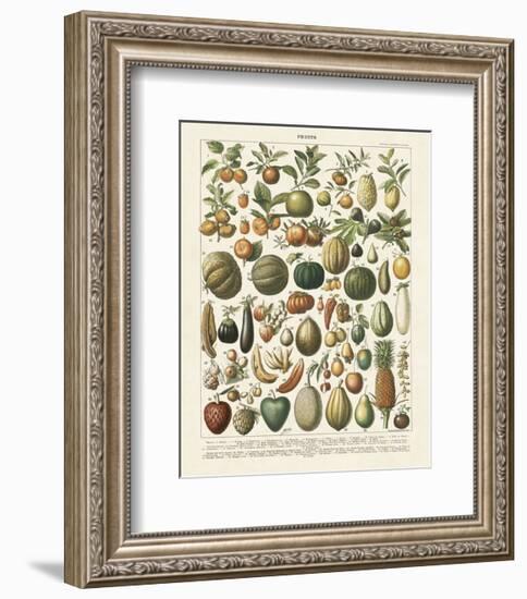 Fruits I-Adolphe Millot-Framed Art Print