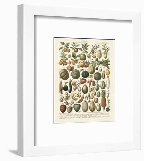 Fruits I-Adolphe Millot-Framed Art Print