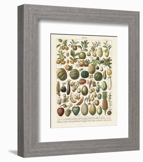 Fruits I-Adolphe Millot-Framed Art Print