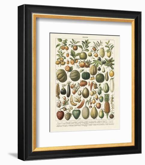 Fruits I-Adolphe Millot-Framed Art Print