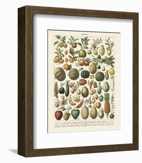 Fruits I-Adolphe Millot-Framed Art Print